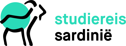 vma-studiereis-sardinie-groen-transparant
